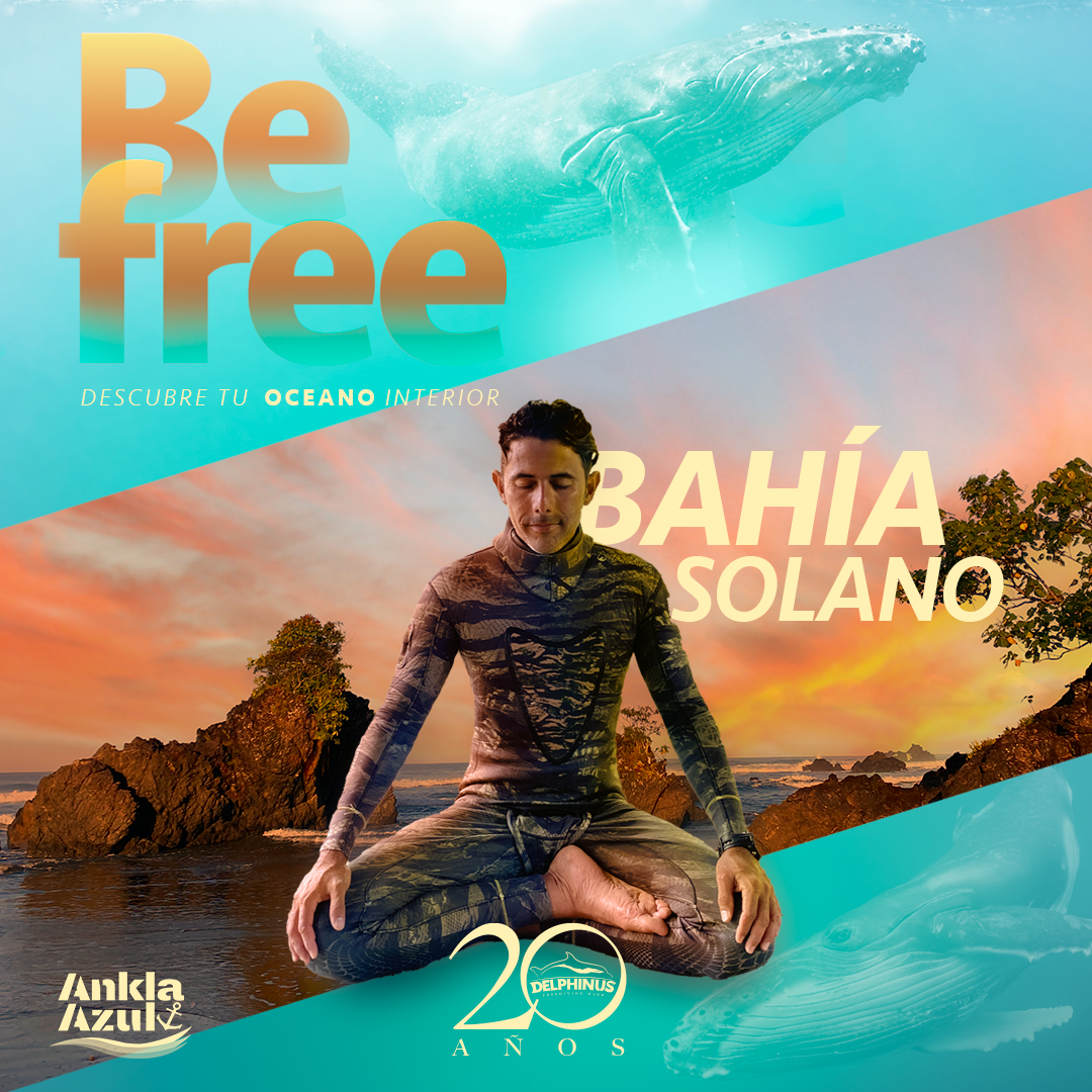 Be Free | Bahía Solano| Tiburón Ballena 2025 › Delphinus
